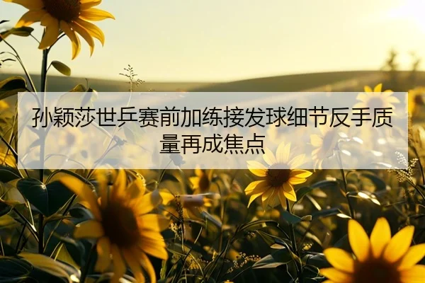 孙颖莎世乒赛前加练接发球细节反手质量再成焦点